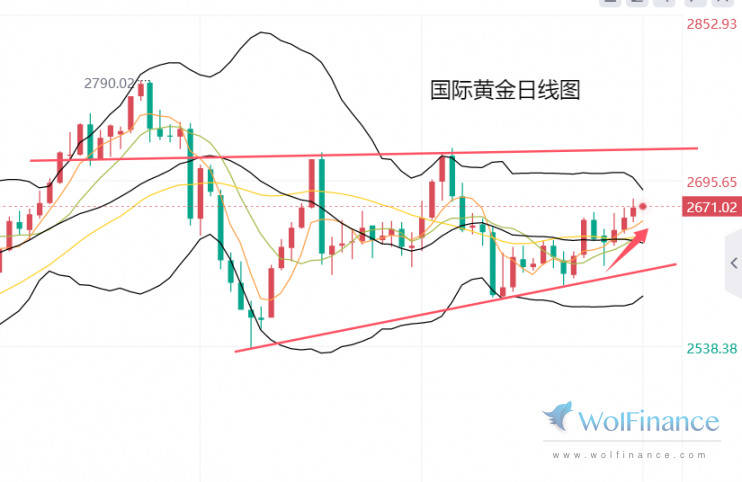 对特朗普政策不确定性的担忧刺激避险支撑金价