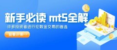 【新手必读】伦敦金mt5平台如何开户？全流程详解