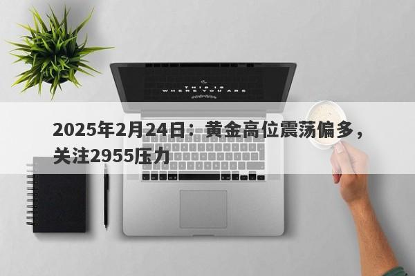 2025年2月24日：黄金高位震荡偏多，关注2955压力